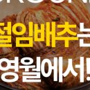 김천땅콩 이미지