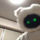 26.5 쉬었음 청년 일기