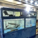 회마당 | [김해 맛집 / 김해 횟집 ] 찐 단골 손님으로 가득한 김해 내동 횟집 “청정회마당”