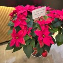 엣지스크린골프 이미지