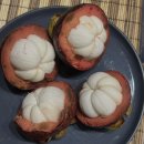 발리 짱구 숙소 추천 짱구바구스스위트, 위치·가성비·조용함까지 다 잡은 숨은 새로생긴 숙소