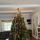 호스텔 오렌지트리 이미지