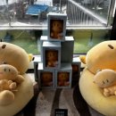 참조아약국 이미지