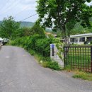 미호전자 이미지