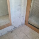 백석그린빌아파트(2차) 이미지