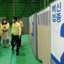 심야시장