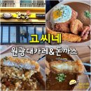고씨네원광대 | 익산 원광대 맛집 고씨네 - 익산 카레 돈까스 신동 밥집