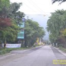 푸른숲황토방 이미지