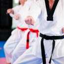 체형교정 태권도 이미지