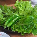 도깨비정원 이미지