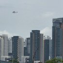 나성동_다정교 이미지