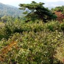 계룡건강원 - 중구 보문로30번길 43 | 계룡건강원