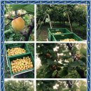 혁이농장 이미지