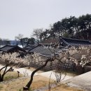 도산서원관리사무소 이미지