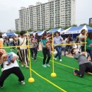 댕댕이와냥이 이미지