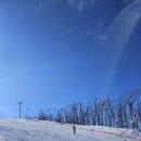 평창 휘닉스파크 이미지