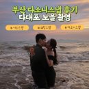 다소니 | 다대포 스냅 사진촬영 부산 다소니스냅 후기