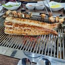 소양강민물집 이미지