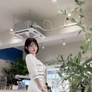 은유화