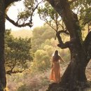 파인위드 이미지