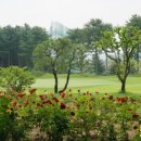 태광골프장클럽하우스식당 이미지