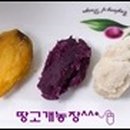 웰빙먹거리
