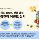 에듀픽