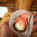 베리베리(Very_Berry)