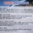 황금명태본가 이미지