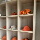 은하네농장 이미지