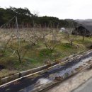 북후면행정복지센터 이미지