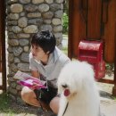 쓸자