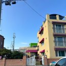 소풍애견미용 | [울산애견펜션] 바다소풍애견펜션, 내돈내산후기