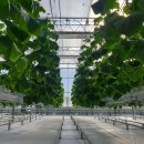 오이축산 이미지