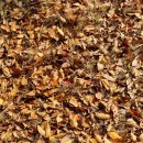 세경 세탁소 이미지