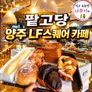 1593 | 양주 LF스퀘어 빵집 카페 팥고당 빵순이 출동 후기