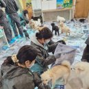 보경쉼터 이미지