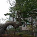 남부순환로 이미지