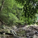 금화식당 이미지