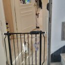 루다네 까까 이미지