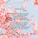 흔들리며 피는 꽃 이미지