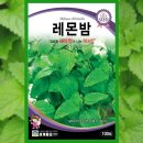 씨앗 - 남양주시 덕소로116번길 11 | 씨앗