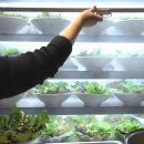 명품쌈밥 이미지