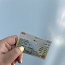 성남세관후문.성은학교 | 이시국 해외여행/괌 4박5일 🏝