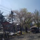 올래복권 이미지