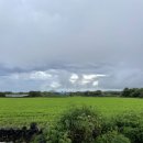 비자림빌리지2 이미지