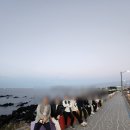 투어프랜드
