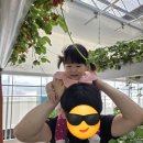 청주 딸기 체험 팜앤딸기 방문 후기