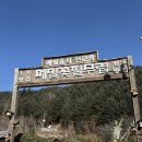 사과꽃필무렵 | 강원도 평창 메밀국수 맛집 메밀꽃필무렵 내돈내산 후기