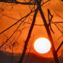 정호선 행정사 사무소 이미지